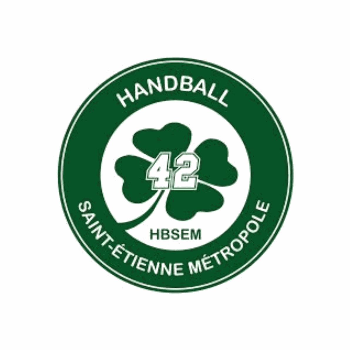 HBSEM42 HBSEM42